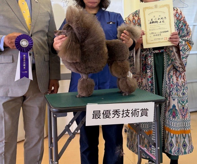 トリミングスクール