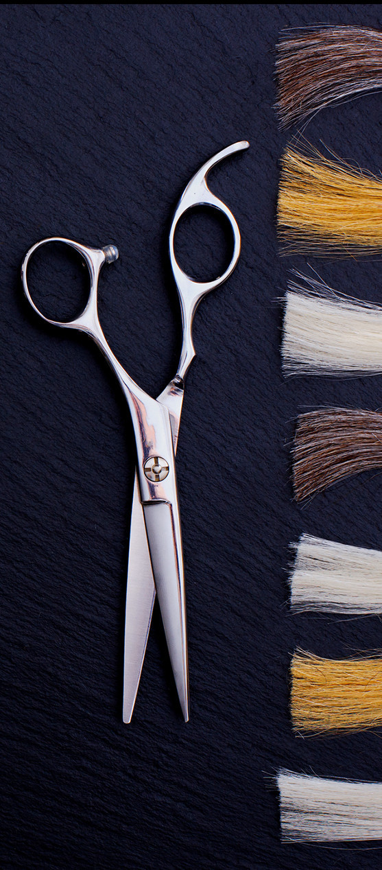 足立区トリミング