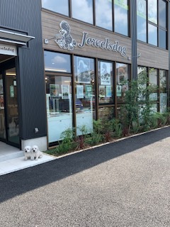 足立区トリミング